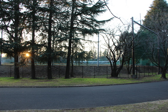 所沢航空記念公園野球場