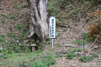 滝の城の本丸跡地#383512