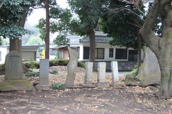 中氷川神社（三ケ島）#384613