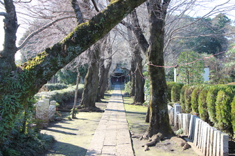 中氷川神社（三ケ島）
