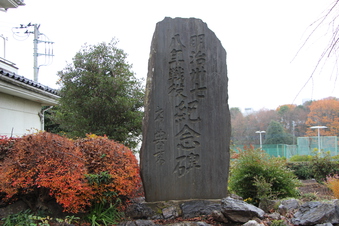 中氷川神社（三ケ島）#384604