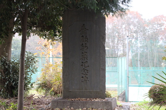 中氷川神社（三ケ島）#384609