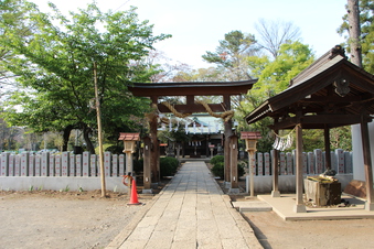 熊野神社（西新井）#384707