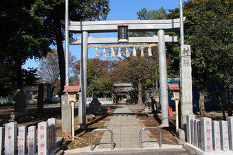 熊野神社（西新井）#384708