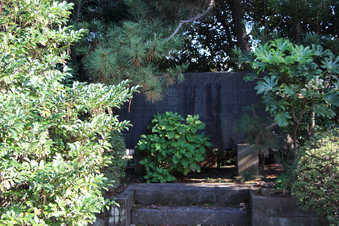 熊野神社（西新井）#384710
