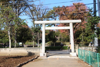 熊野神社（西新井）#384712