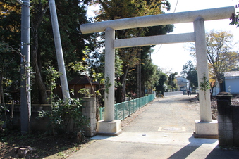 熊野神社（西新井）#384713