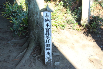 三ヶ島稲荷神社#384743