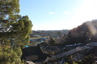 東福寺から見える景色