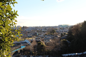 東福寺から見える景色