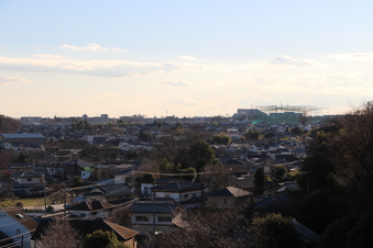 東福寺から見える景色#385741