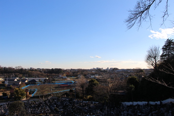 東福寺から見える景色#385742