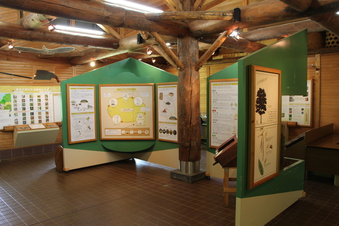 さいたま緑の森博物館