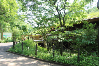 さいたま緑の森博物館#386061
