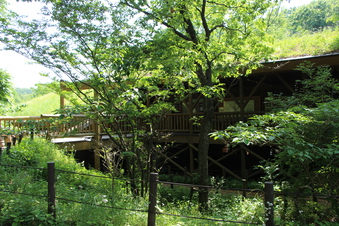 さいたま緑の森博物館#386070