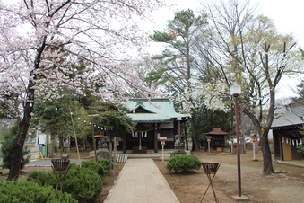 熊野神社の桜#387085