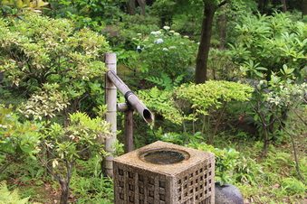 日本庭園・茶室『彩翔亭』