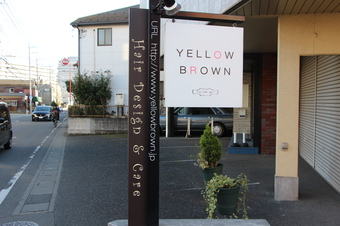 YELLOW BROWN