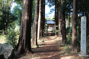 新桜木神社