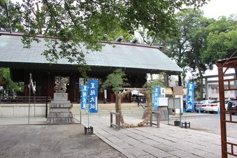 所沢神明社夏越の大祓#389637