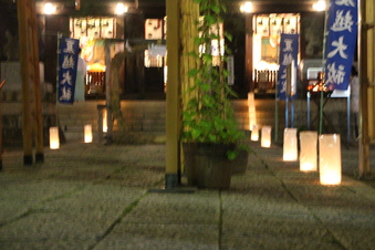 所沢神明社夏越の大祓#389696